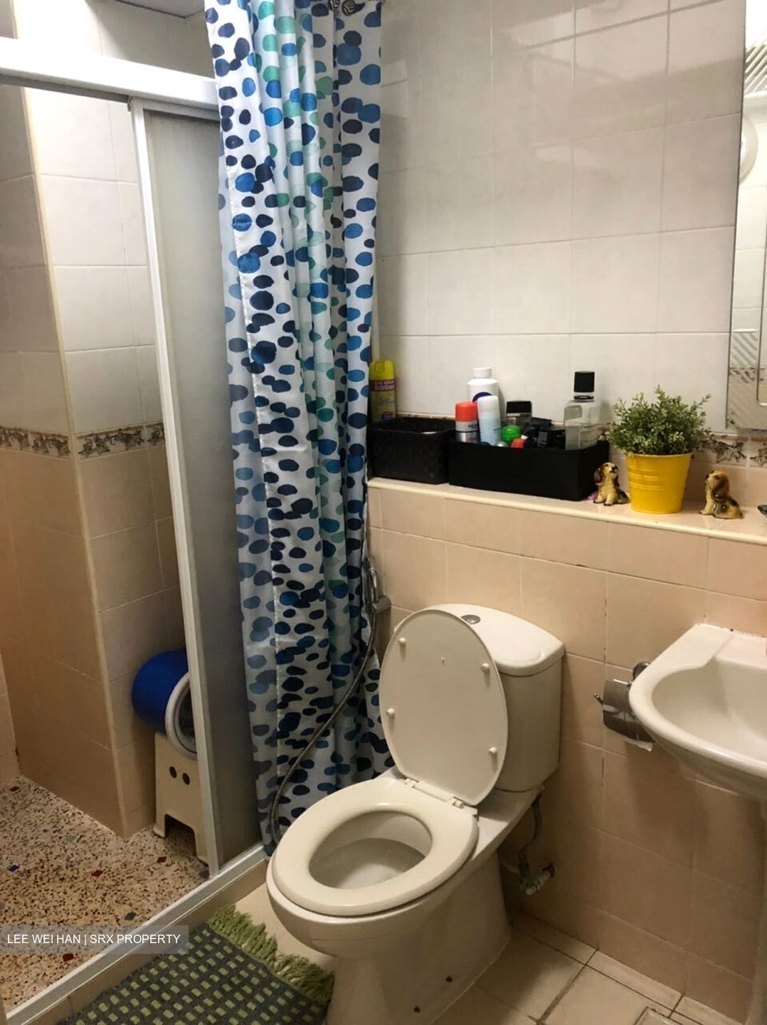 Blk 389 Goodview Gardens (Bukit Batok), HDB 5 Rooms #314075841